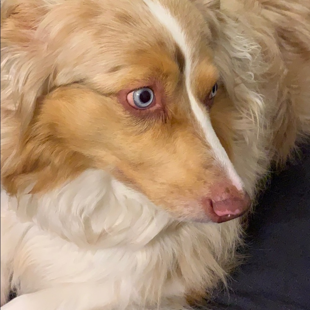 Meet your Posher, Kelly